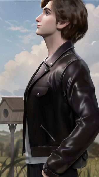 Datei:Katze&Hund Mikaere nichterweckt.jpg