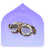 Vintage Goggles.webp